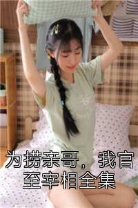 为捞亲哥，我官至宰相全集
