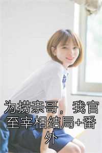 为捞亲哥，我官至宰相结局+番外