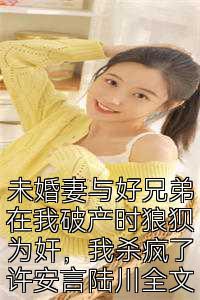 未婚妻与好兄弟在我破产时狼狈为奸，我杀疯了许安言陆川全文