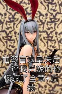 抽签盲选皇夫后，逼我另嫁的他悔疯了全章+后续