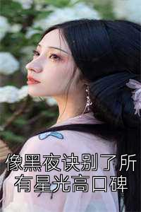 像黑夜诀别了所有星光高口碑