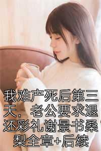 我难产死后第三天，老公要求退还彩礼谢景书桑梨全章+后续