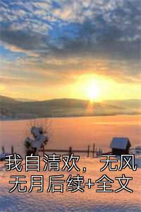 我自清欢，无风无月后续+全文