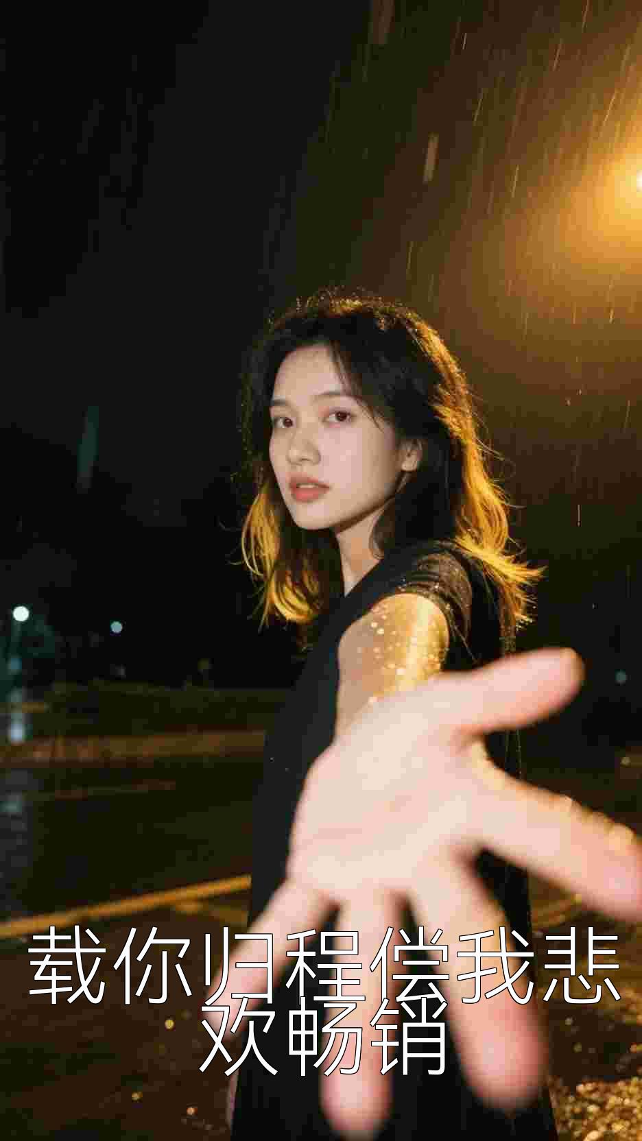 载你归程偿我悲欢畅销